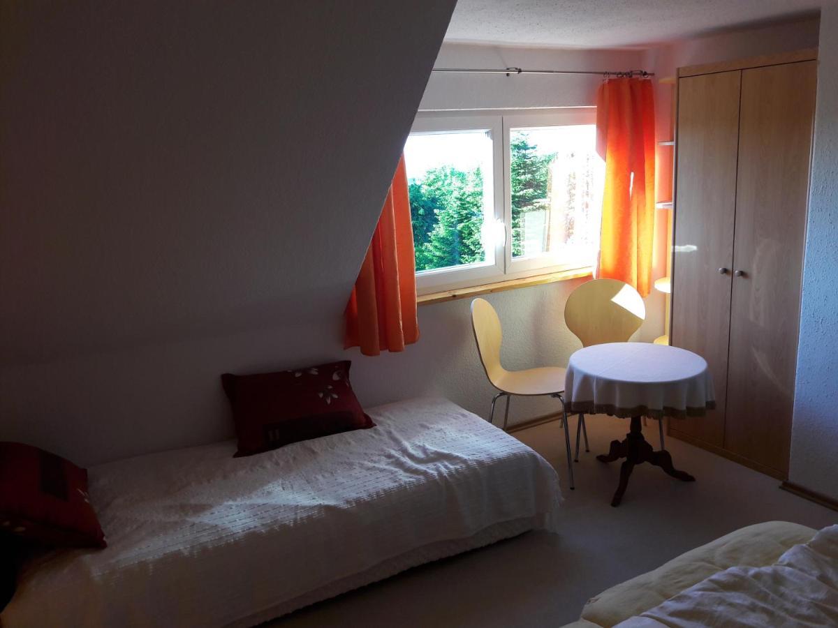 Ferienhaus Fernblick アルテンベルク エクステリア 写真